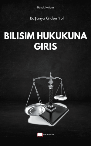 Bilişim Hukukuna Giriş Vize Final