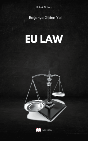 Eu Law Vize - Final