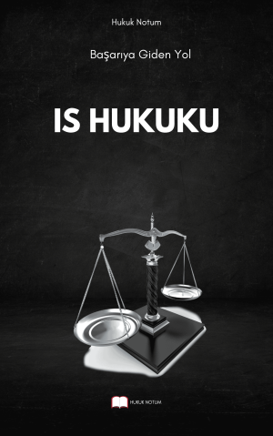 İş Hukuku Vize - Final